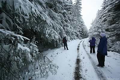 Glenshane Forest Snowfall & Walk - Jan 19th 2013